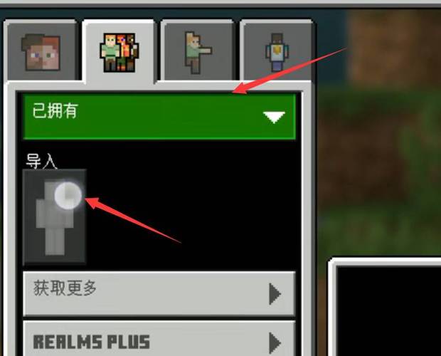 我的世界国际服皮肤图片可导入