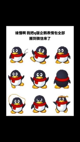 黑企鹅表情包来源