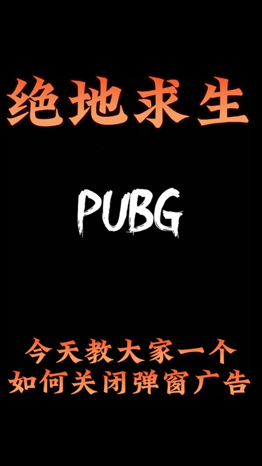 吃鸡打开后弹出英文框