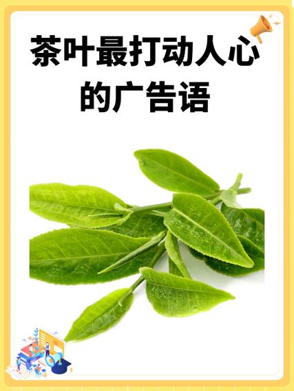宣传自己的品牌广告语