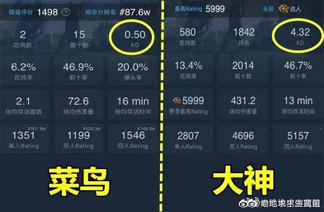 绝地求生怎么举报队友截图3