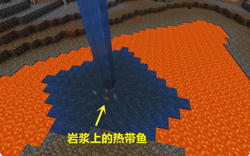 我的世界如何抓热带鱼