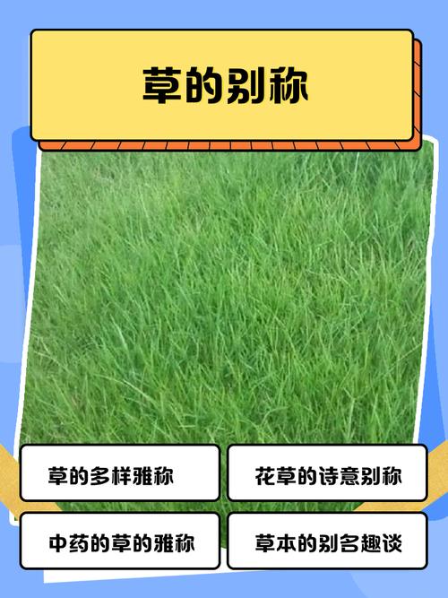 护草先锋称号什么意思