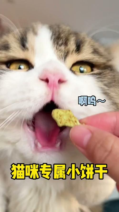 猫咪最忌三种饼干