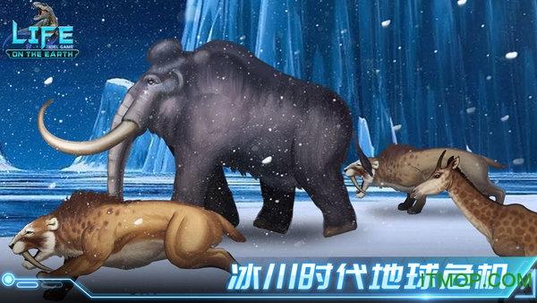 生命简史无限