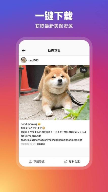 ins下载最新版本