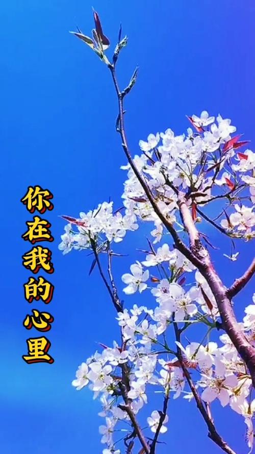 今生陪伴着你美丽又甜蜜截图1
