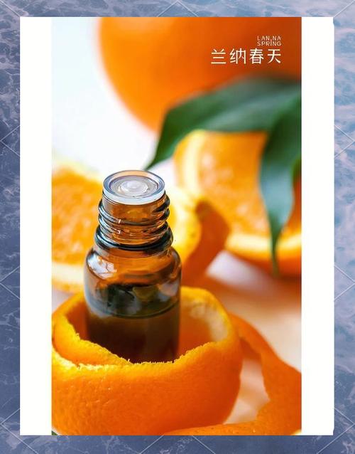 甜橙的功效与作用