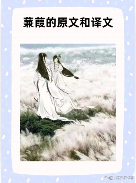 作者佚名小说免费阅读