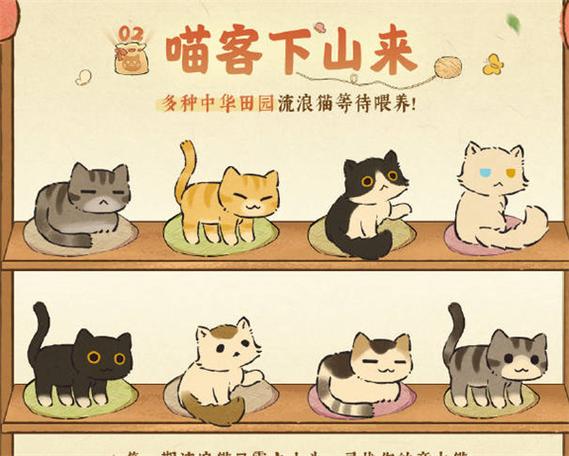 猫喵小筑