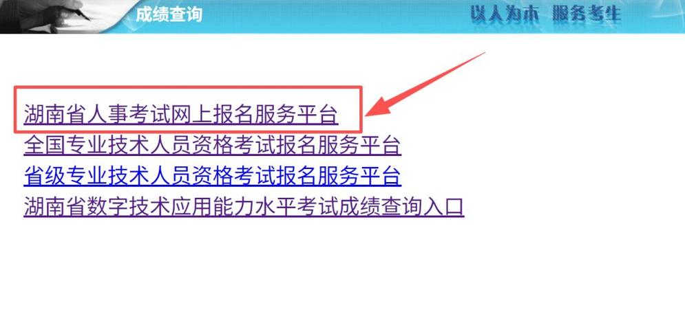 http://zhpj.hnedu.cn网站查询成绩截图2
