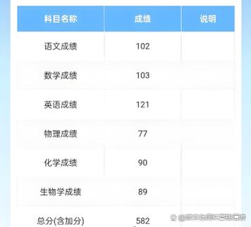 http://zhpj.hnedu.cn网站查询成绩截图3