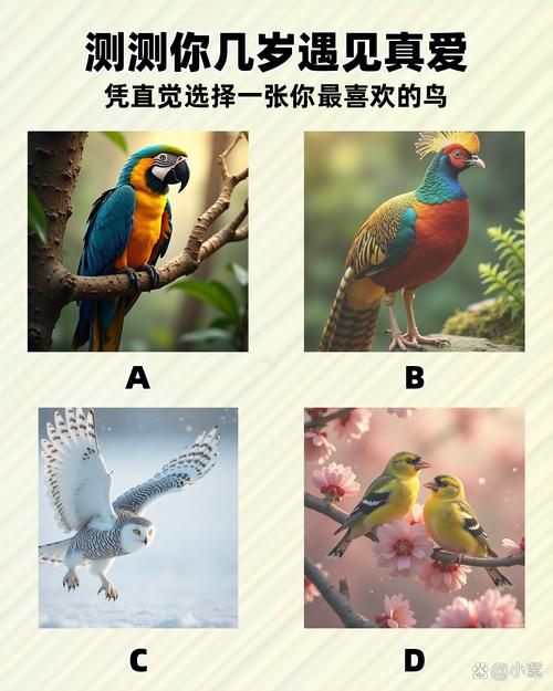 小鸟一个卡密可以两个手机用吗