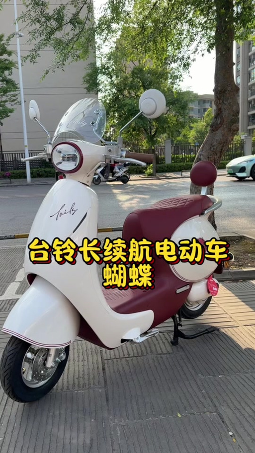 台铃蝴蝶的十大忠告 台铃蝴蝶的十大忠告