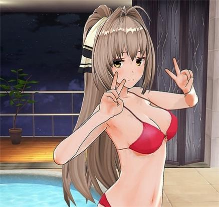 定制女仆2破解版