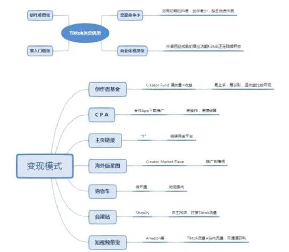 如何用tiktok赚钱