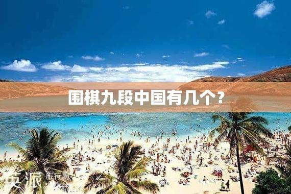围棋九段中国有几个