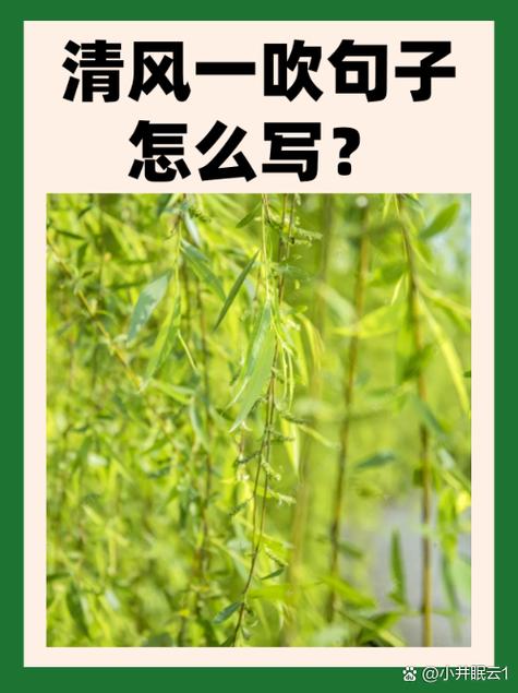 清爽的清是什么意思