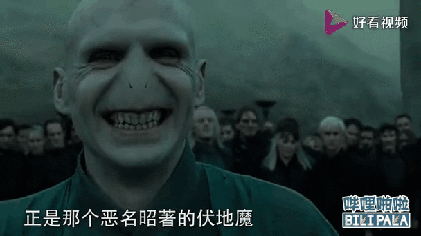 伏地魔给哈利印上黑魔印记的小说截图3