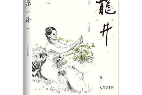 小说龙井