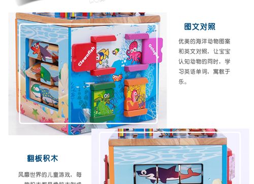 100种海洋动物图片