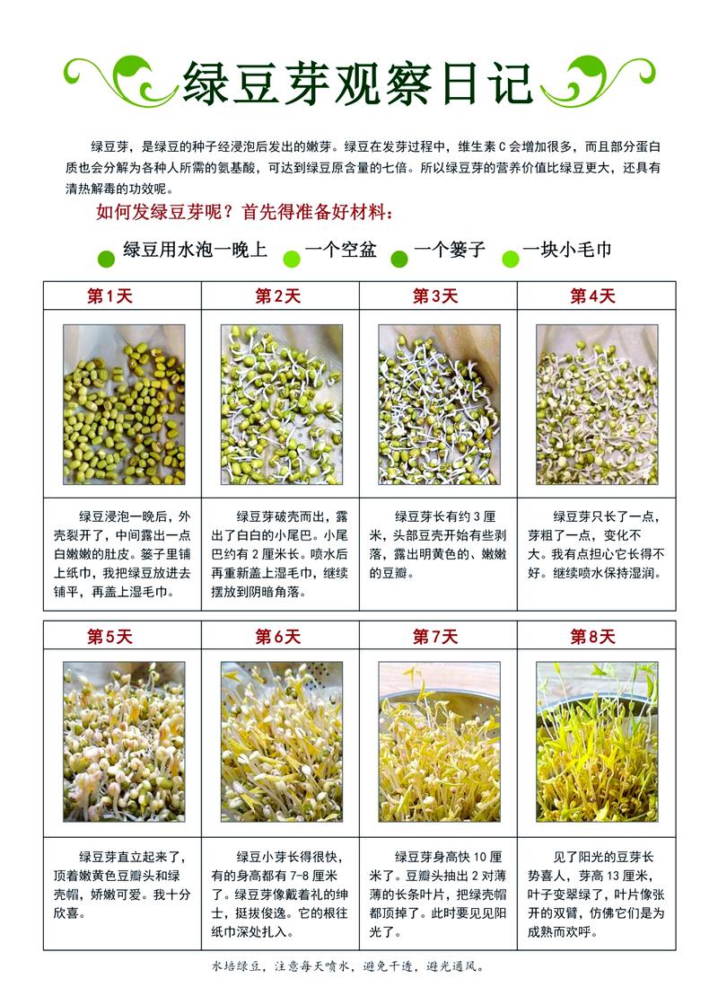 男生叫女生豆芽菜意思