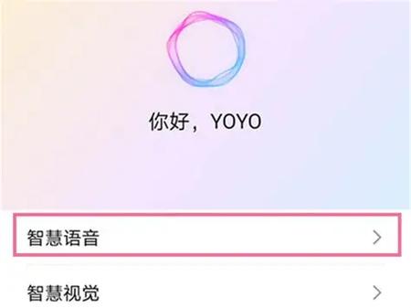 王者荣耀限时语音在哪里设置