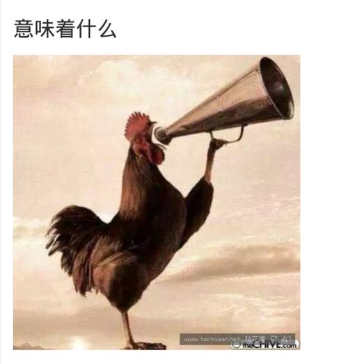 什么子吹喇叭无人声