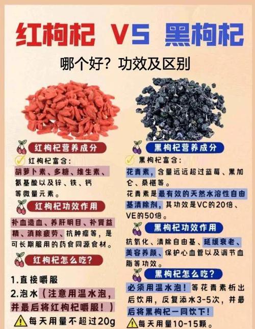 枸杞子的功效与作用