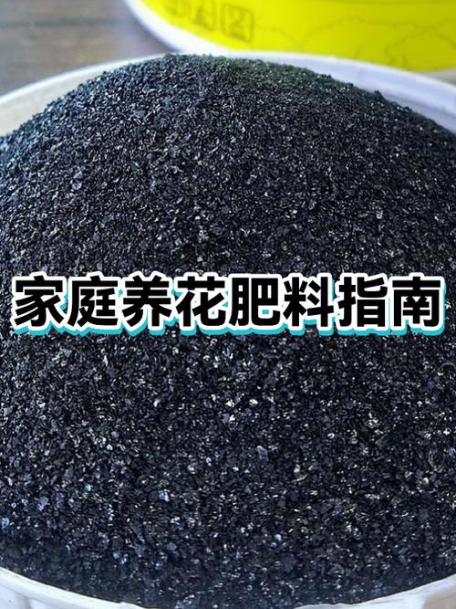 养花用什么肥最好