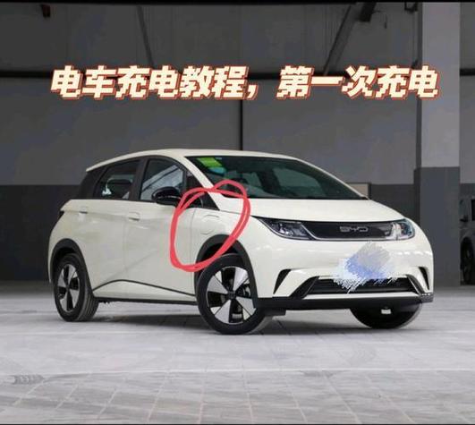 海豚第一次充电要充满吗