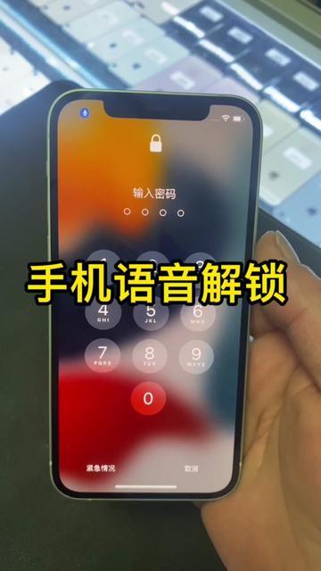 vivo不能解锁还有语音提示