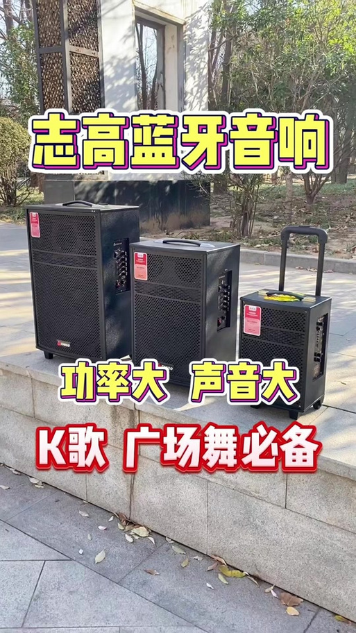 志高音响图片及价格表截图1