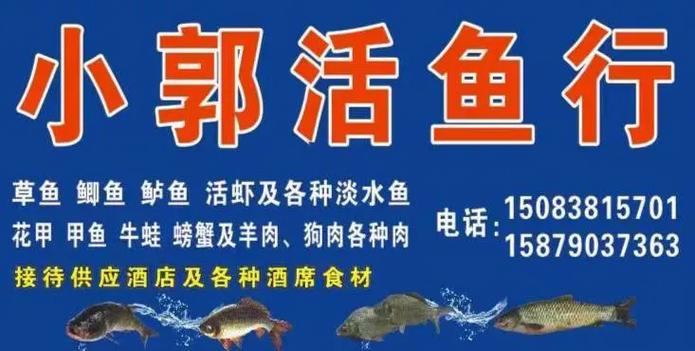卖鱼最牛广告语