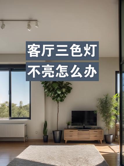 客厅带遥控的灯不亮了