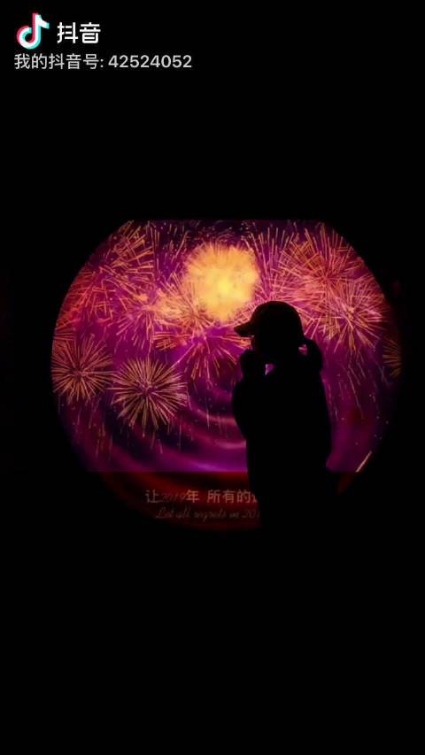 抖音再见2019你好2020视频