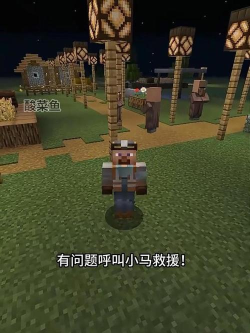 我的世界小马救援
