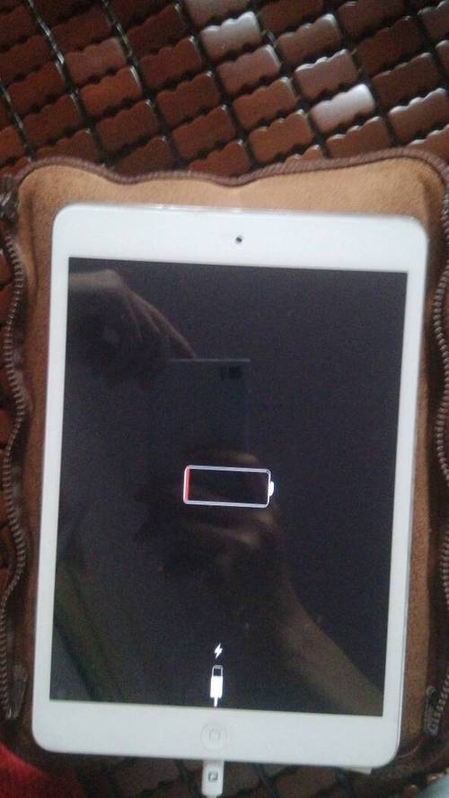 iPad 充电