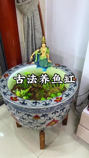 鱼缸养鱼可以不换水吗