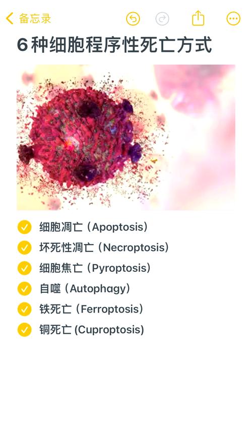 细胞死亡截图2