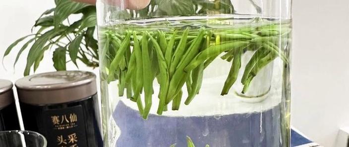 一次尝遍四大绿茶