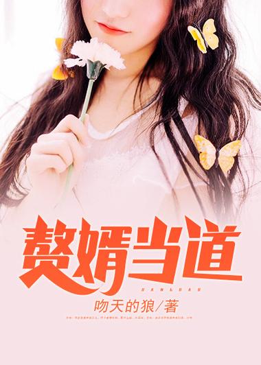 赘婿当道:神医狂婿