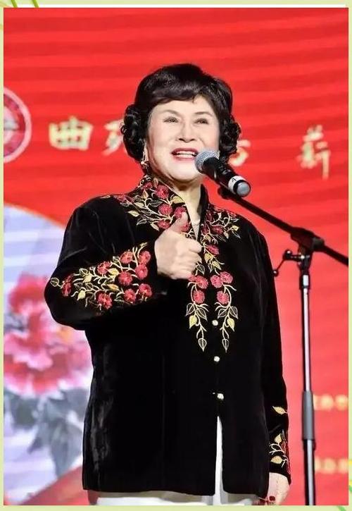 播放刘兰芳评书