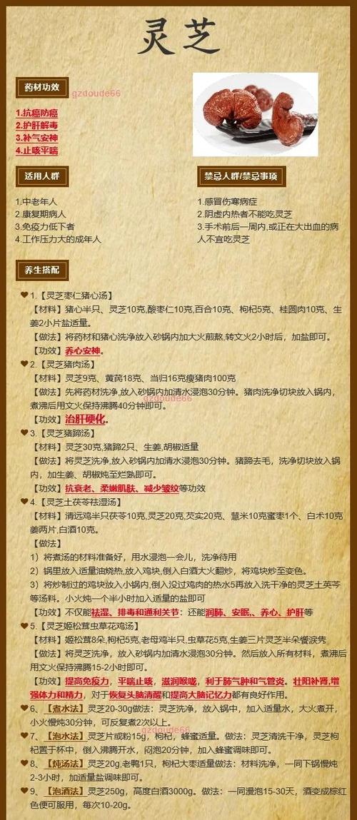 灵芝的功效与作用泡水喝的功效