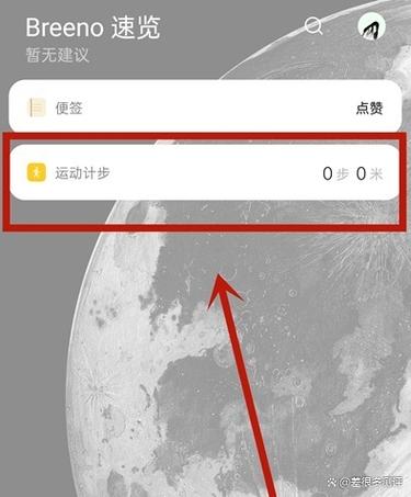 记录步数在哪里