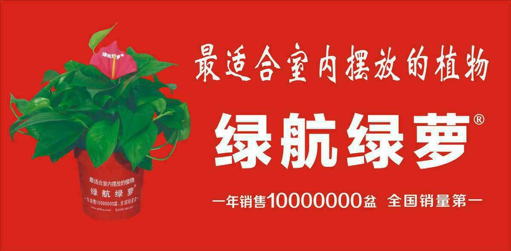 绿航绿萝代理