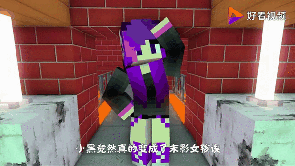 姐姐为什么变成那个丽丽我的世界为
