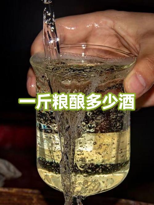 1斤粮食能酿多少斤酒