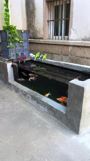 小型锦鲤鱼池设计图