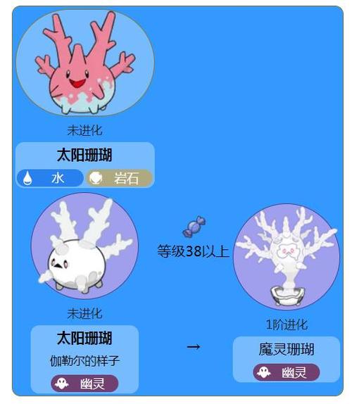 剑盾太阳珊瑚和魔灵珊瑚